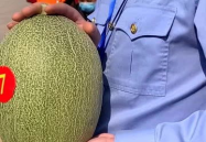 每日大赛官网在线吃瓜观看,在线吃瓜，畅享精彩赛事盛宴
