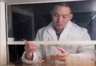 谢浩男彻底断更大妹被老谢带入坑评论区黑料曝光-黑料网悔悟少女