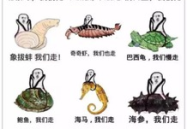 皮皮虾吃瓜网,揭秘娱乐圈幕后真相，带你领略明星生活百态
